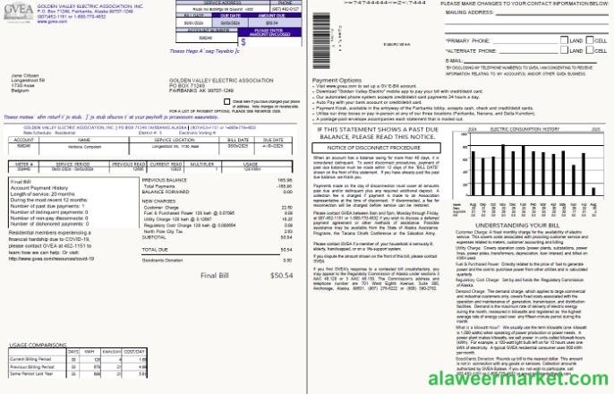Belgium Golden Valley Electric Association utility bill template in Word and PDF formats, 2 pages